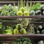 eat well for the brain